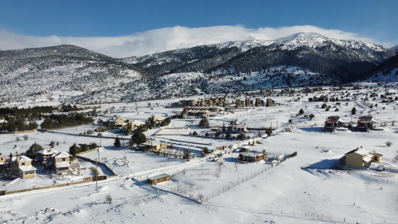 Chalet Renata 1 Livadi Arachovas Kalívia Dış mekan fotoğraf